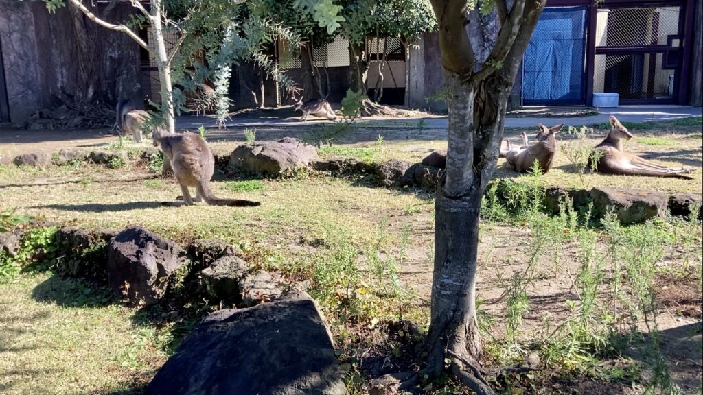 金沢動物園