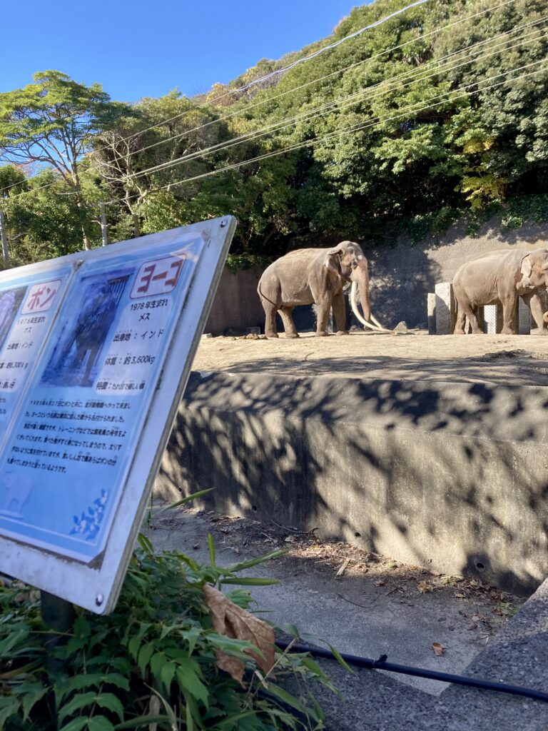 金沢動物園