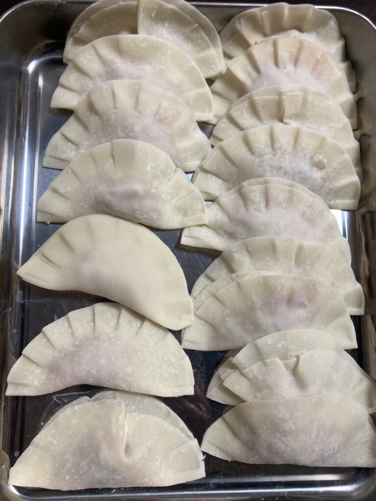 ダイソー餃子包み器　で作った餃子