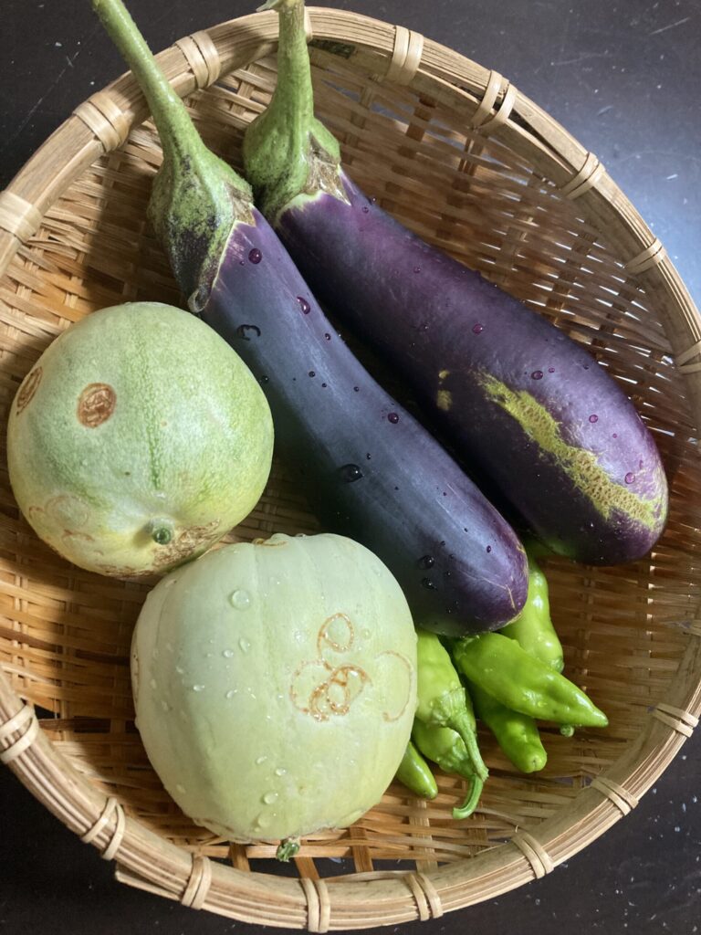 家庭菜園で収穫した夏野菜