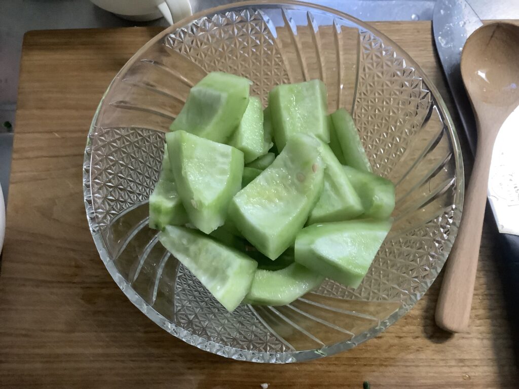 家庭菜園　メロンうり