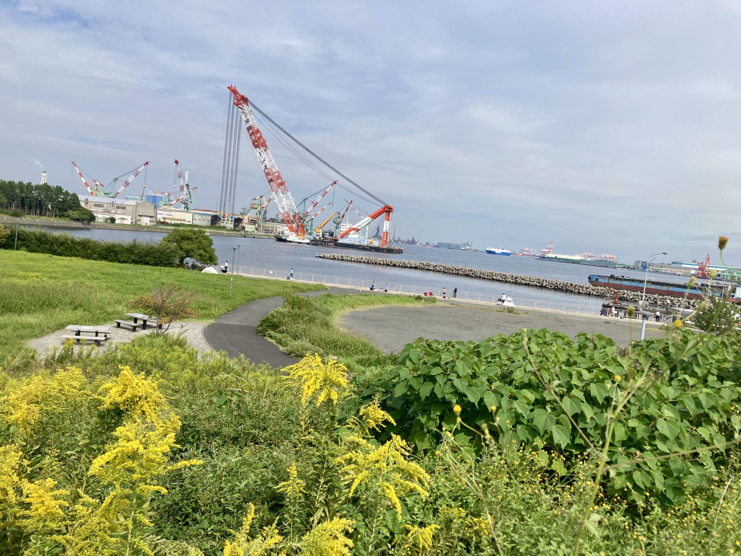 杉田臨海緑地　丘の頂上からの風景