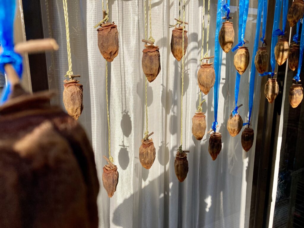 干し柿　３週間後