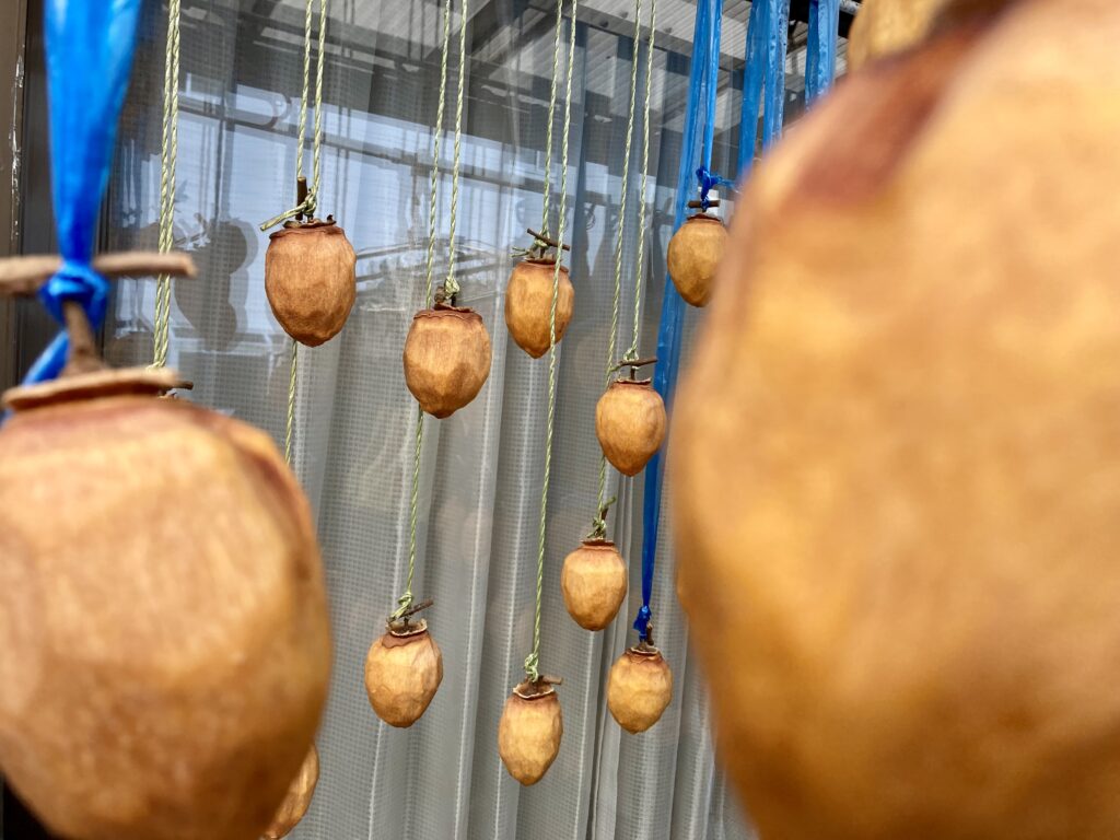 干し柿　１週間後