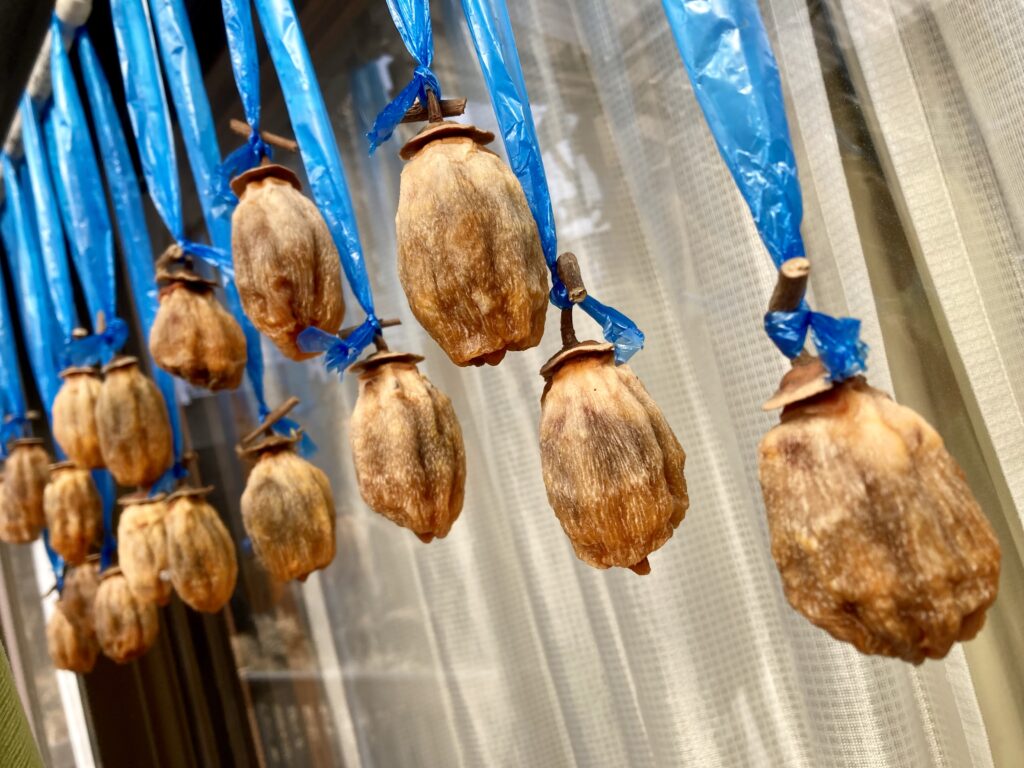 熟れた蜂屋柿の干し柿