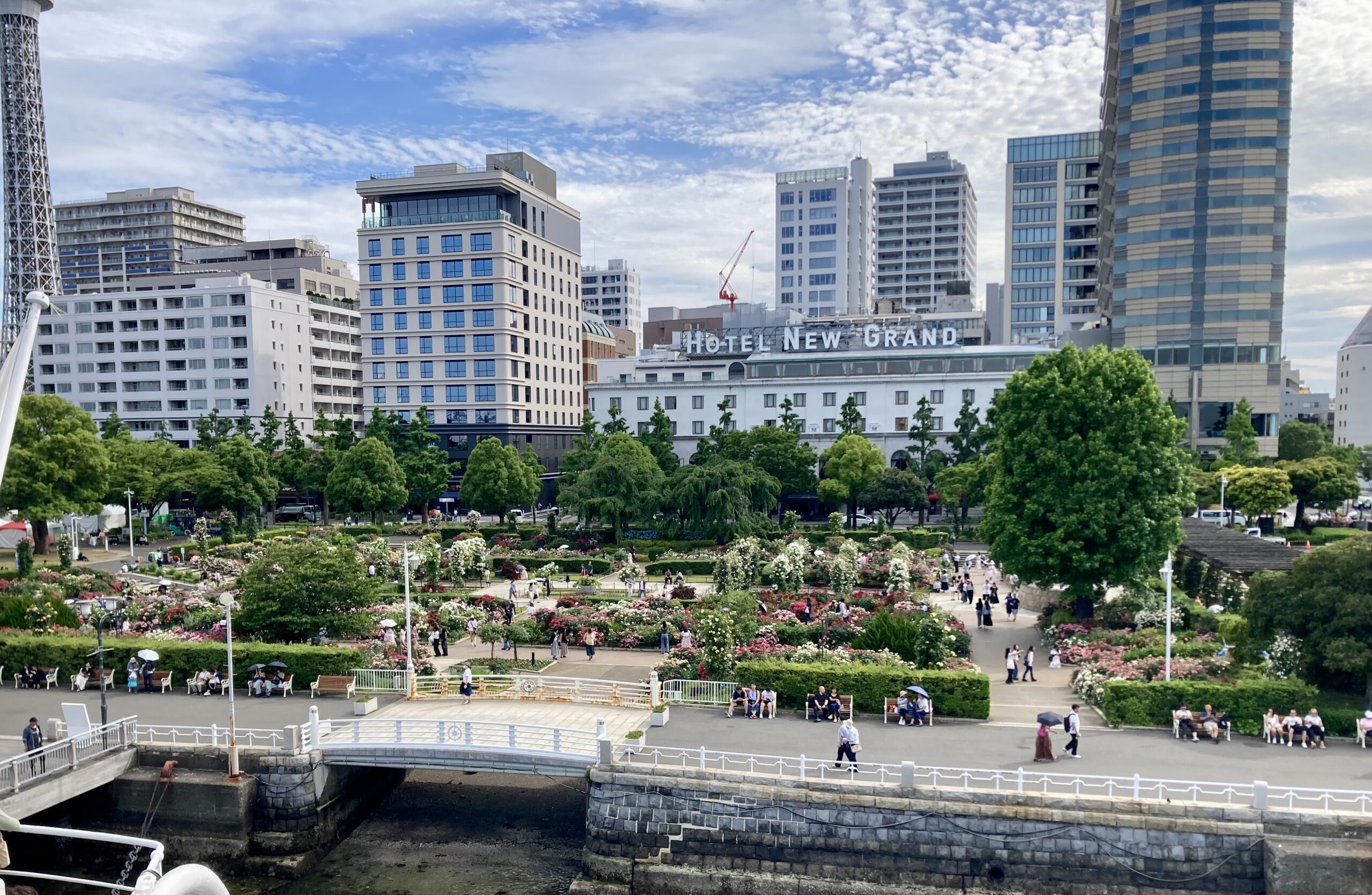 山下公園　未来バラ園　令和８年５月