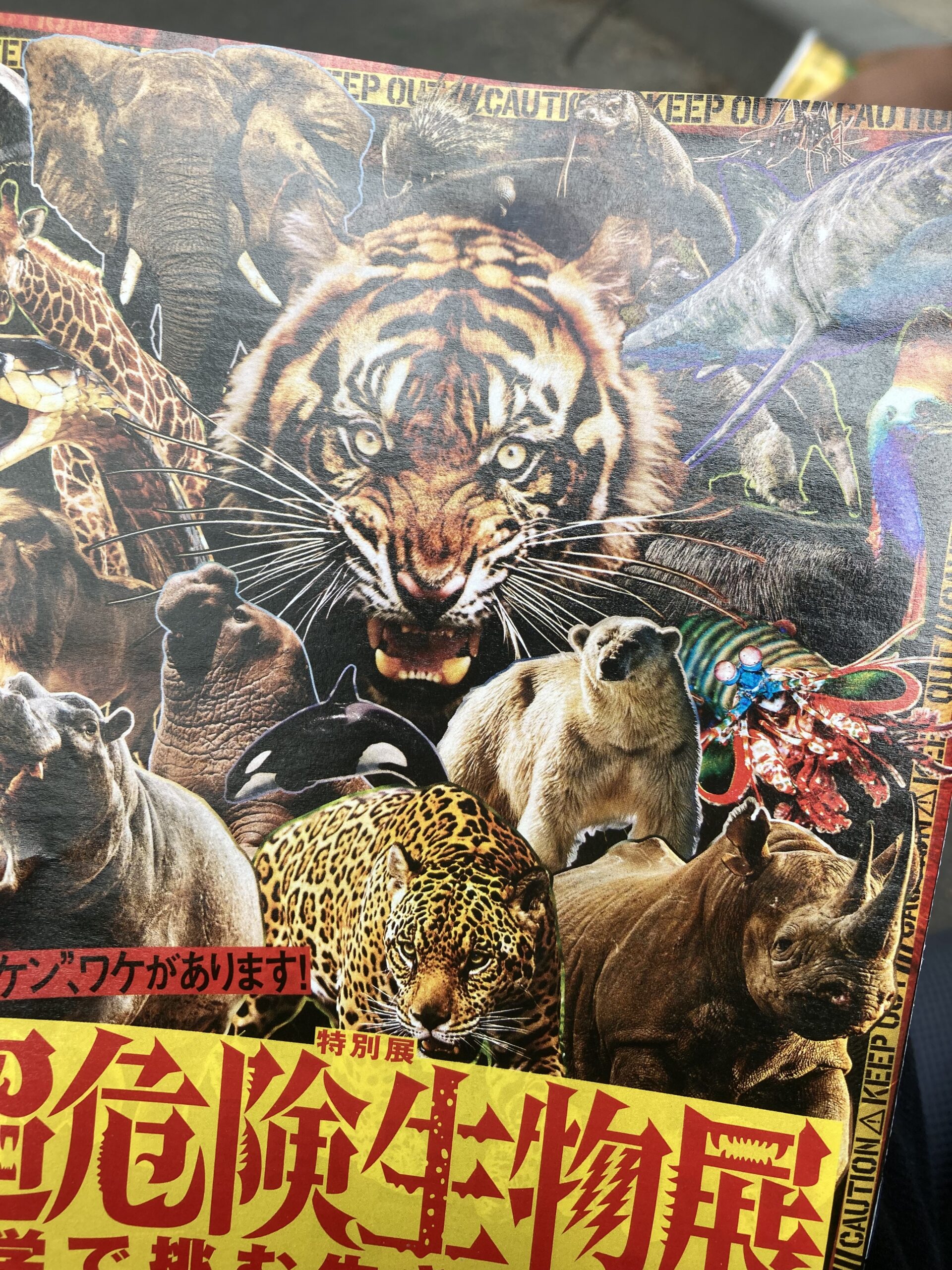 国立科学博物館　超危険生物展　