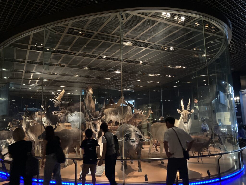 国立科学博物館