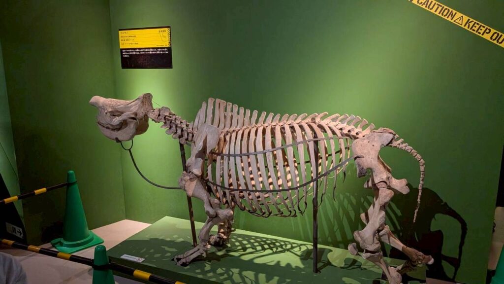 国立科学博物館 超危険生物展