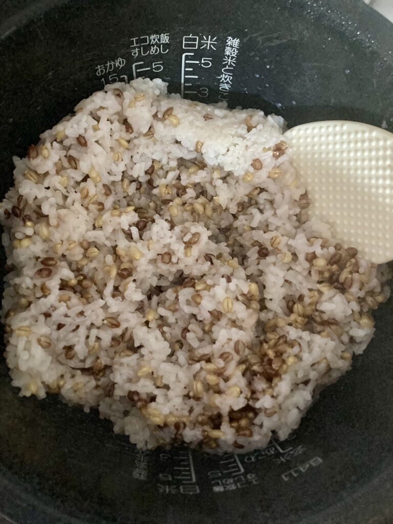 収穫したもち麦で麦ごはん